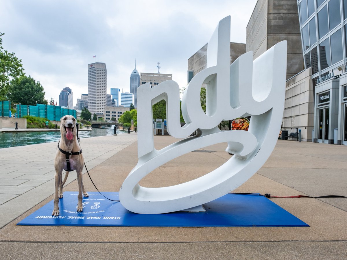 University of Indianapolis tweet media