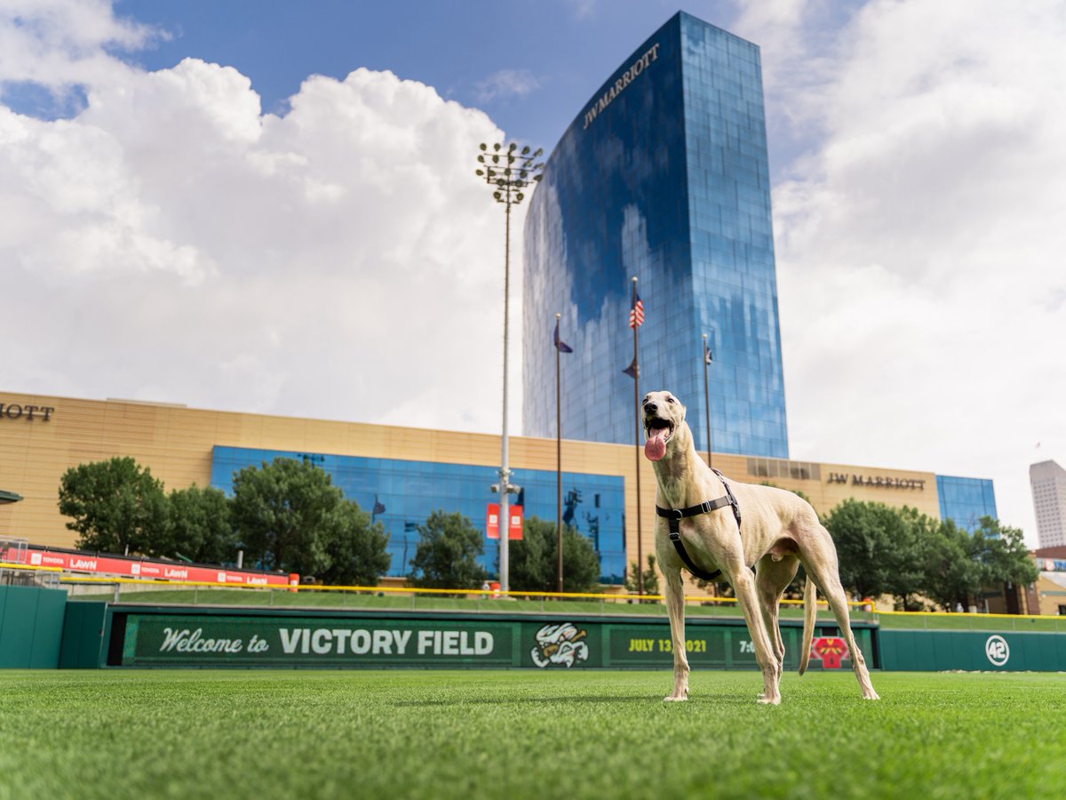 University of Indianapolis tweet media