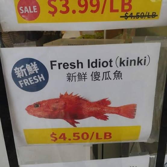 Diamantina🌻 tweet media