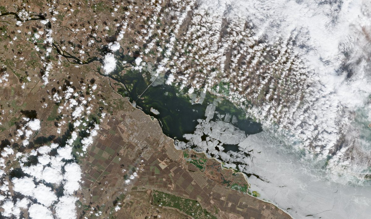 gontsa 🇺🇦 tweet media