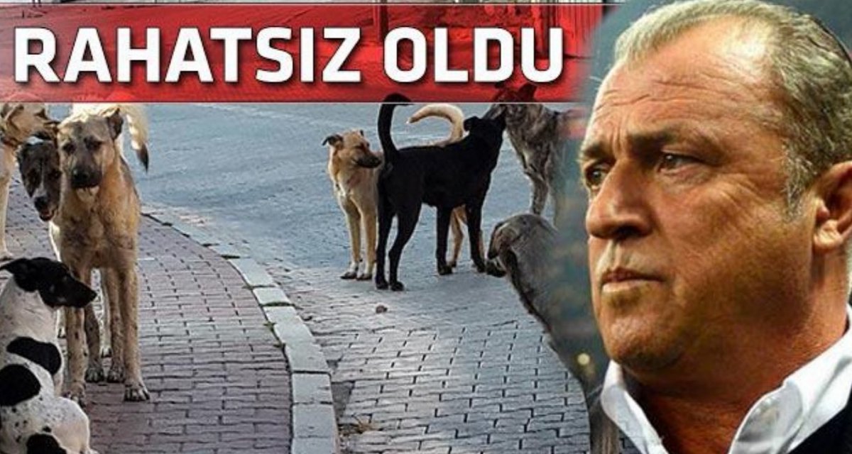 Patrick Berg 🇳🇴 tweet media