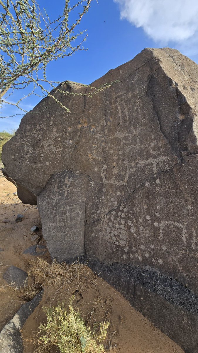 مشعل ابن هْنُود العَمْري 📚 tweet media