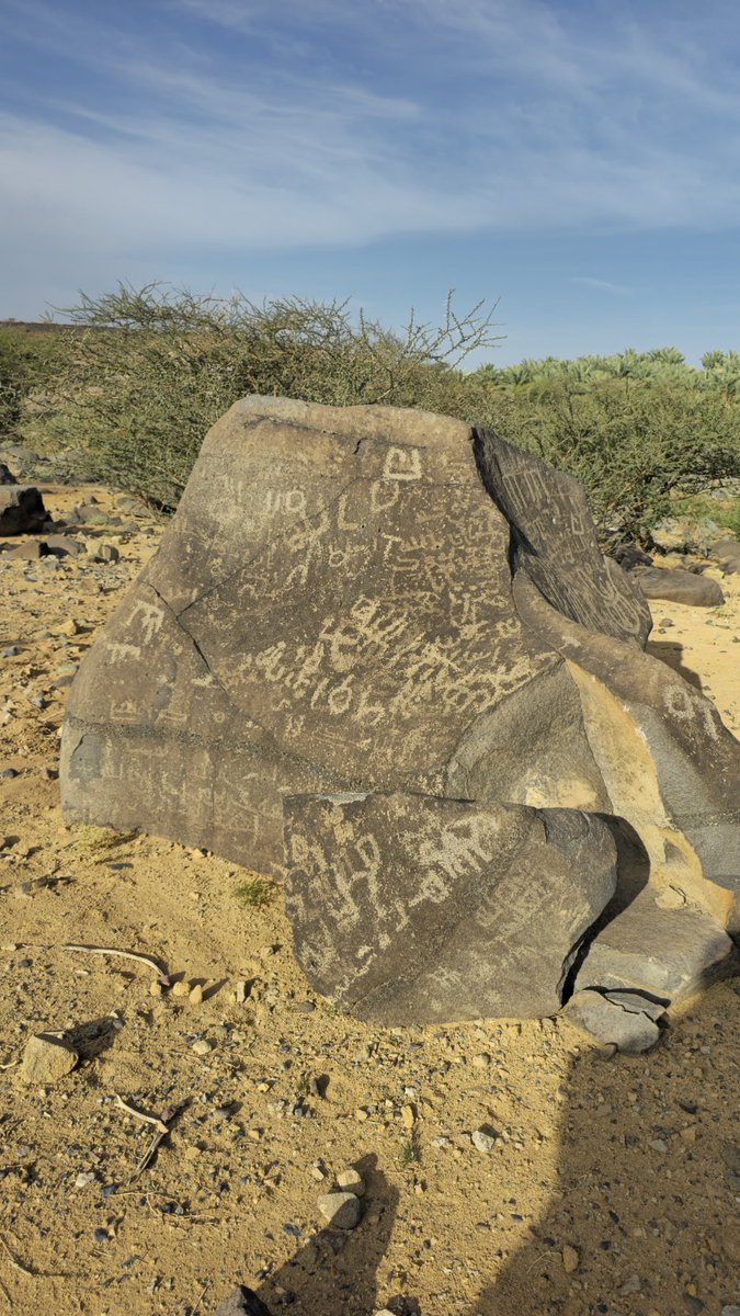 مشعل ابن هْنُود العَمْري 📚 tweet media