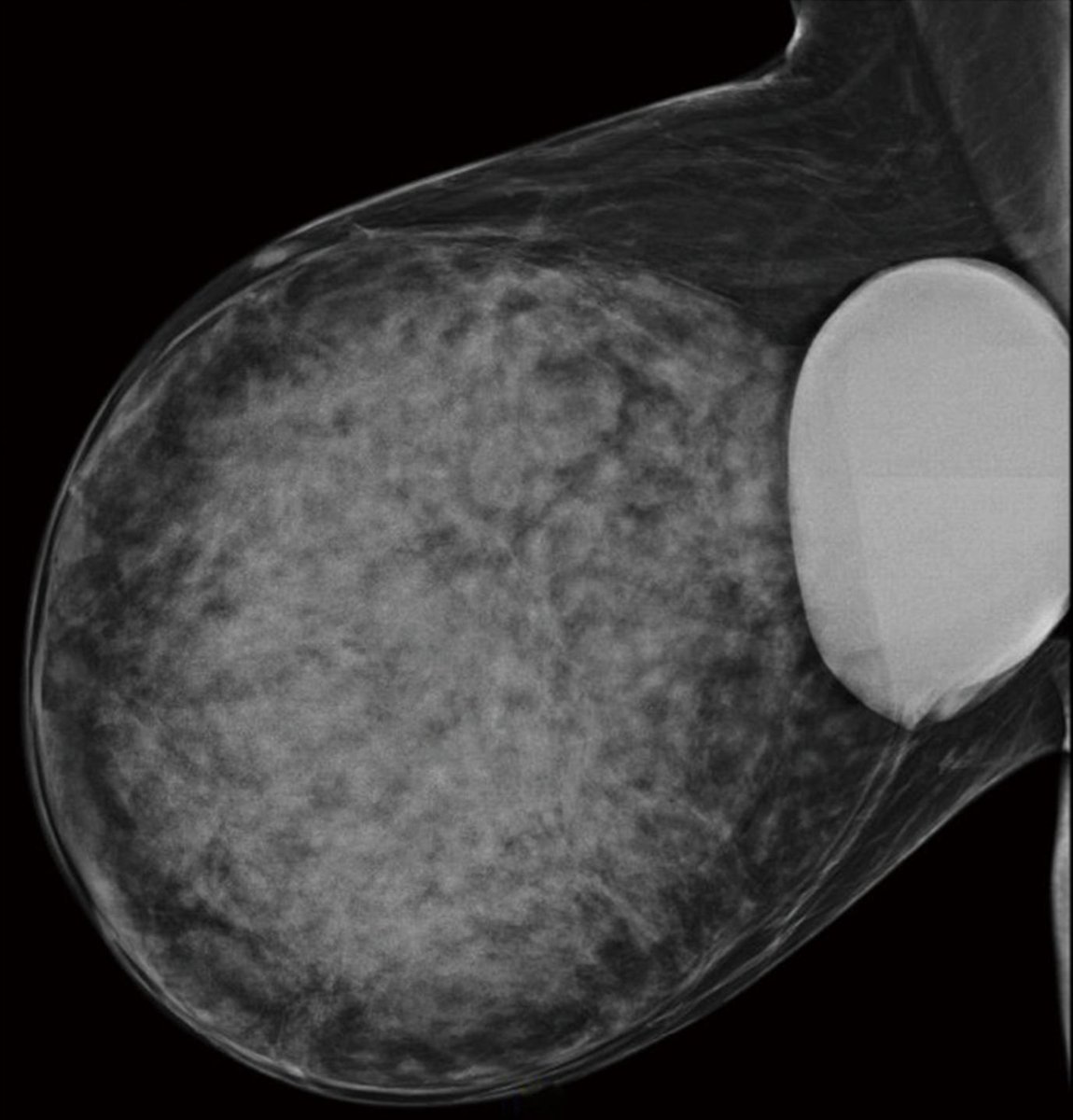 Carlos De Bonrostro 🏥 tweet media