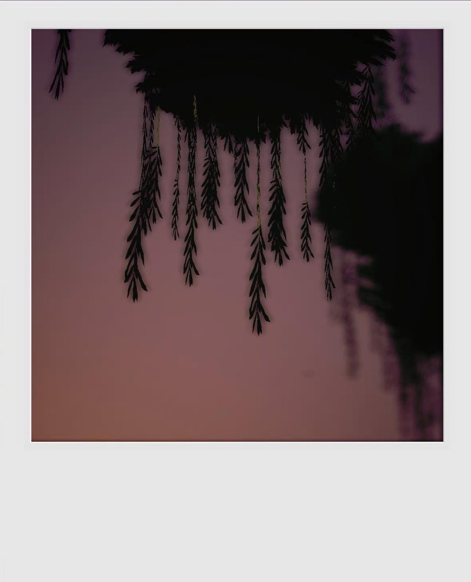 Infinitejester tweet media