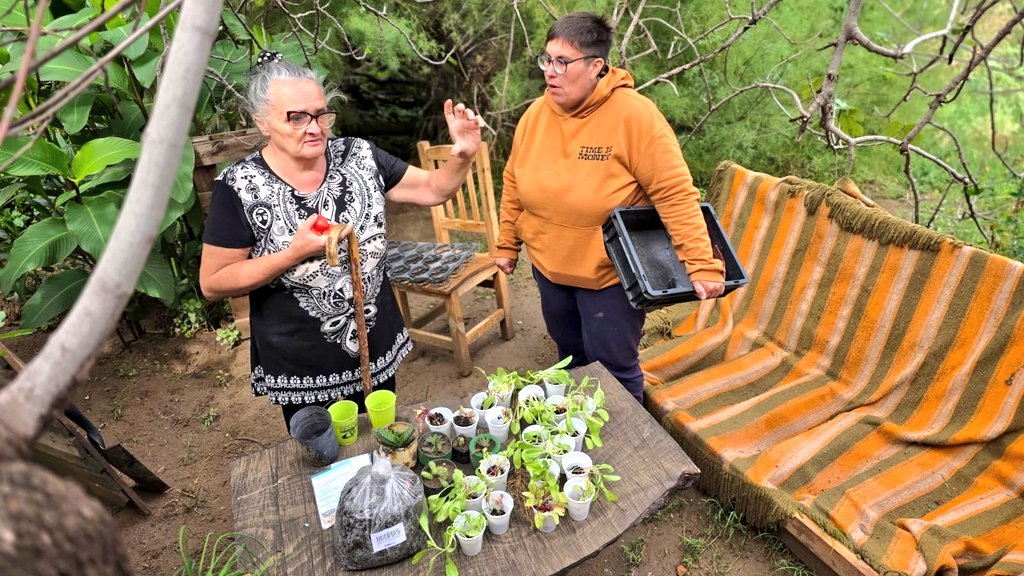 Val_Fabian's tweet image. Hoy Stella, vecina de Grünbein, ya recibio su #kit de Huerta🌿 Familiar: #compost producido por #HuertasDeLaCiudad 🍅🥦🌼, #semillas y #plantines🌱 de #UNIPAR, que ya están trasplantados en su huerta.

Esto es trabajo en equipo y compromiso real con los vecinos.
Gracias