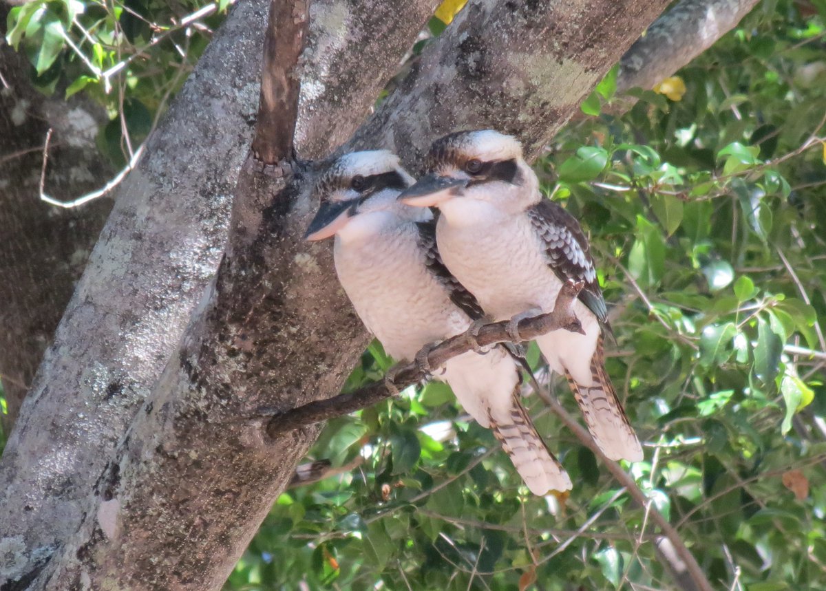 Tranquility Found tweet media