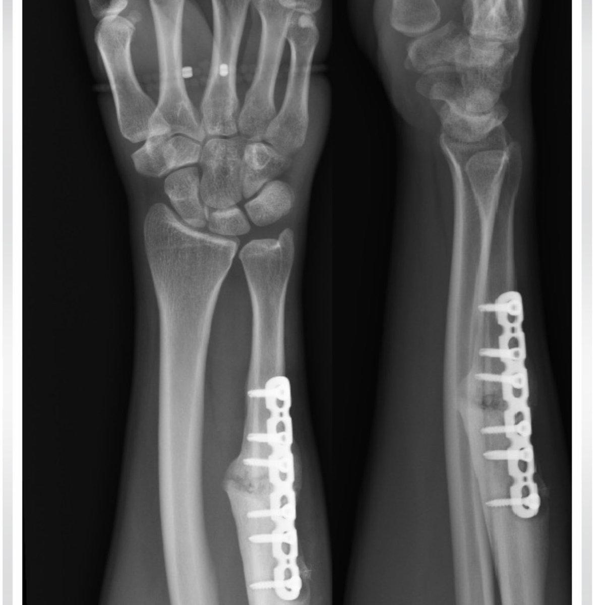 Helen How Edinburgh tweet media