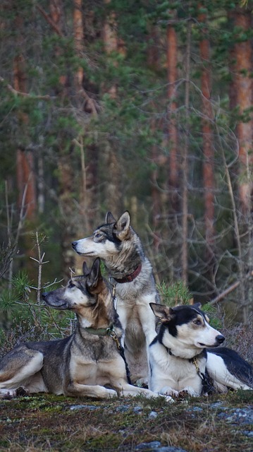 Amy Thomas tweet media