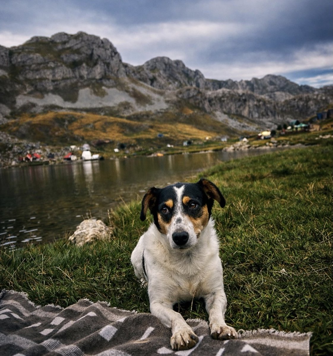 peroviceva 🇲🇪 tweet media