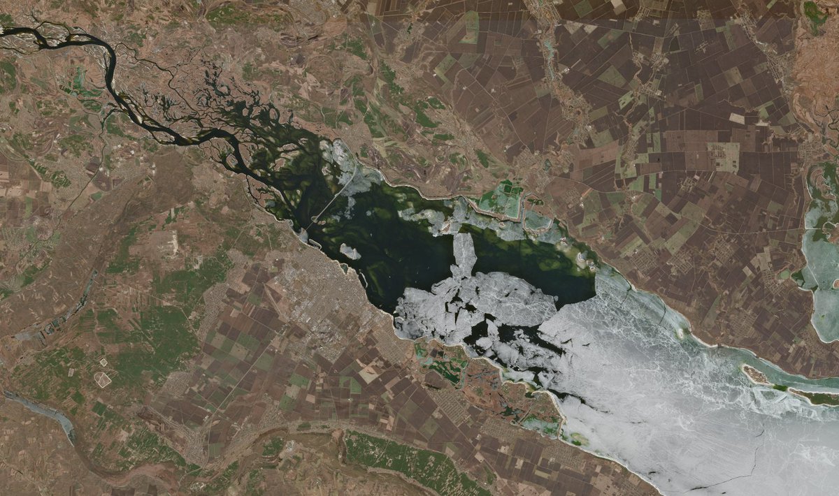 gontsa 🇺🇦 tweet media