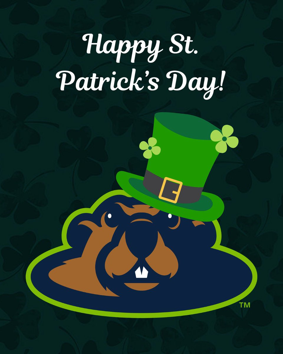 Wausau Woodchucks tweet media