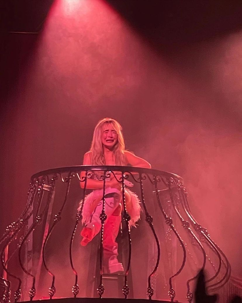 alexa 🍷🐾 tweet media