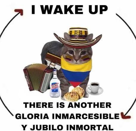 Paolat 🇨🇴 tweet media