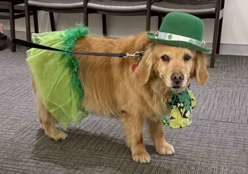 UTSW Radiation Oncology tweet media