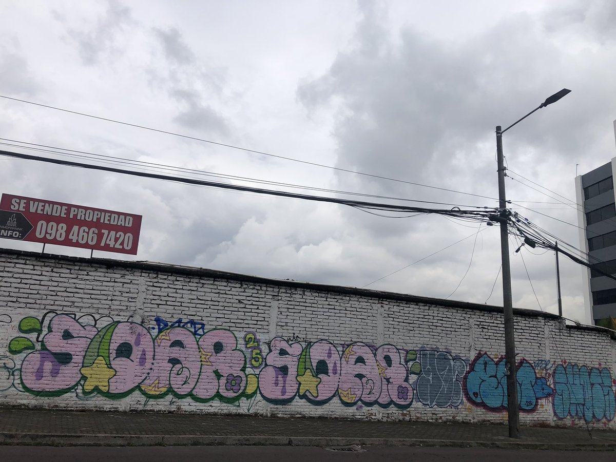 ECStreetGallery's tweet photo. ππ΄π₯
π£
.
.
#graffitiecuador #streetphotography #streetartecuador #graffitiquito #ecuadorgraffiti #grafffunk #graffitistyle #arteurbano #urbanart #graffitifiles #girlspower #quitocalle #postgraffiti #ElNuevoEcuadorNoSeDetiene #bombing π https://t.co/Q7FojD3LEu