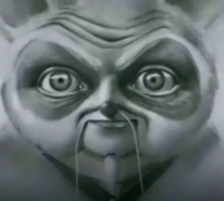 𝖲ora ⚻ tweet media