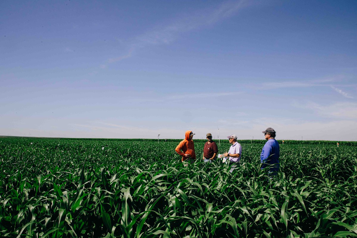 KSU-TAPS tweet media