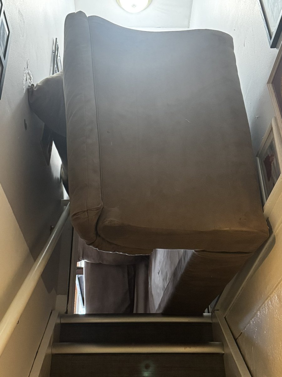 ‎ᢉ𐭩 𐔌 hales ꒱ tweet media