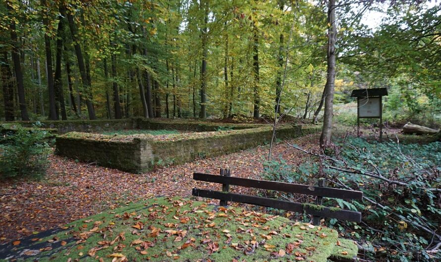 Dieser Wanderung im Odenwald hätte eine leichte Kürzung gut getan um Längen zu vermeiden. Sie führt aber durchaus zu einigen sehenswerten Highlights!

wanderrattes-blog.de/2025/12/21/auf…

#wanderrattesblog
#odenwald