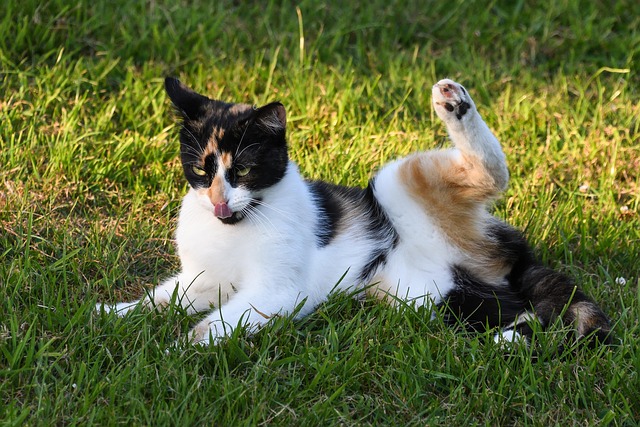 Mark Mcrae tweet media