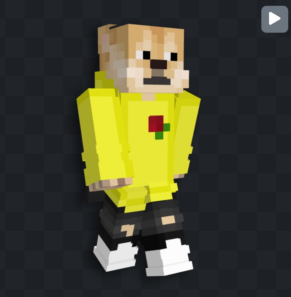 Pio🗯️ tweet media