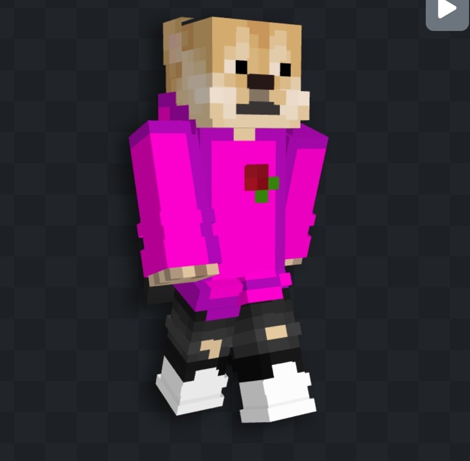 Pio🗯️ tweet media