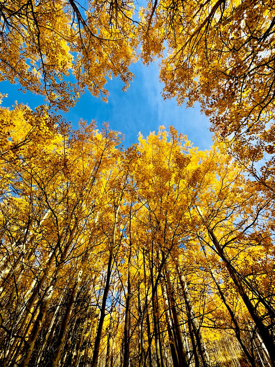 D Miller tweet media