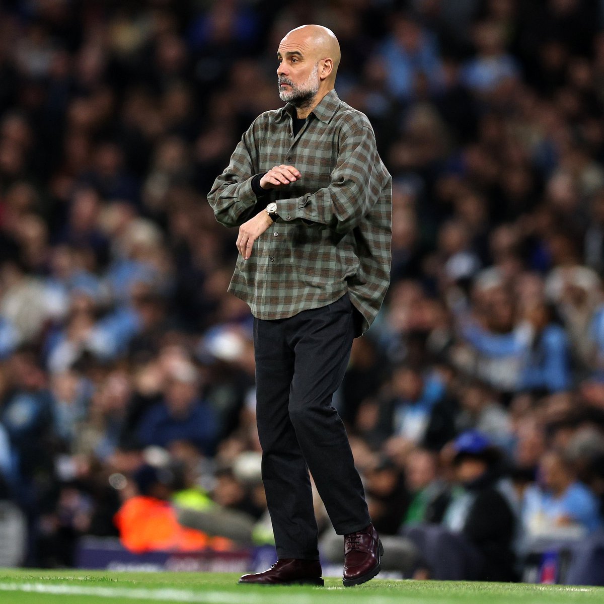 Andrew Ellis tweet media