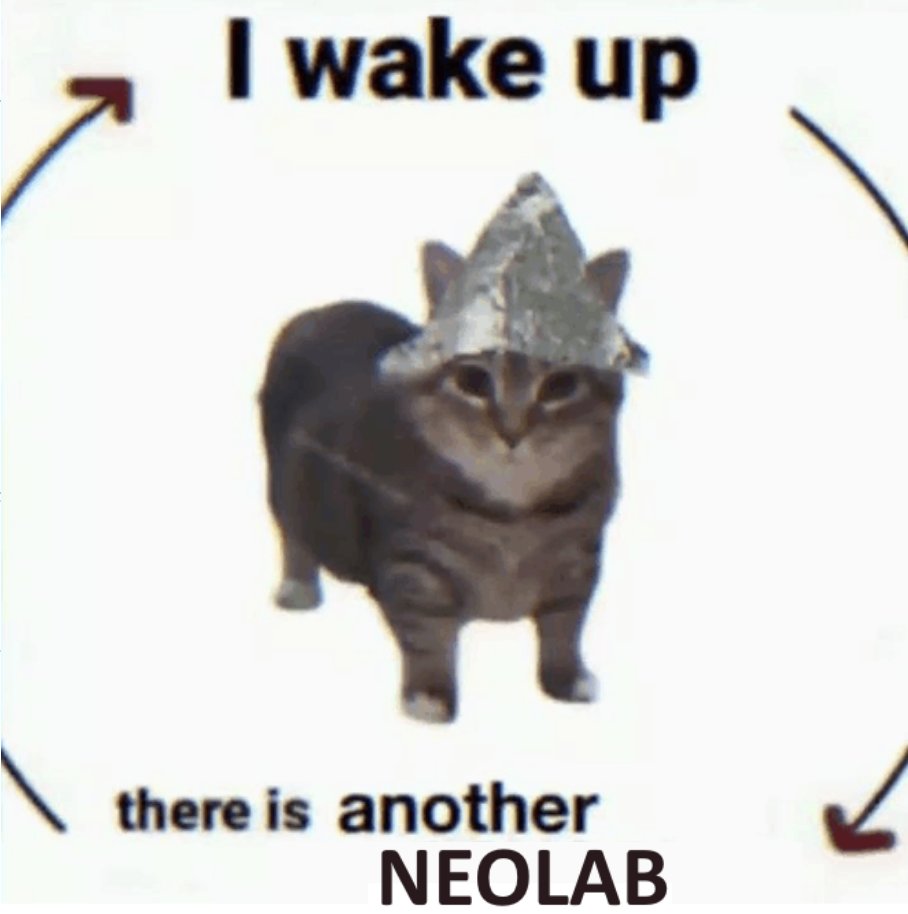 Stephanie Palazzolo tweet media