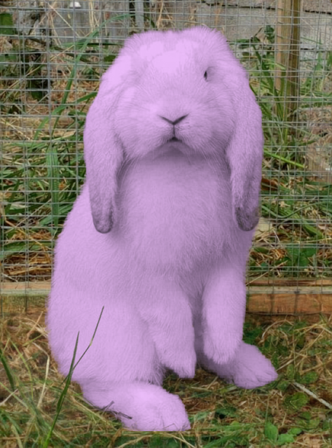 Bani Arcade Bunny 👾🐰 tweet media