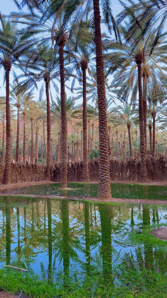 Saudi Magazine tweet media