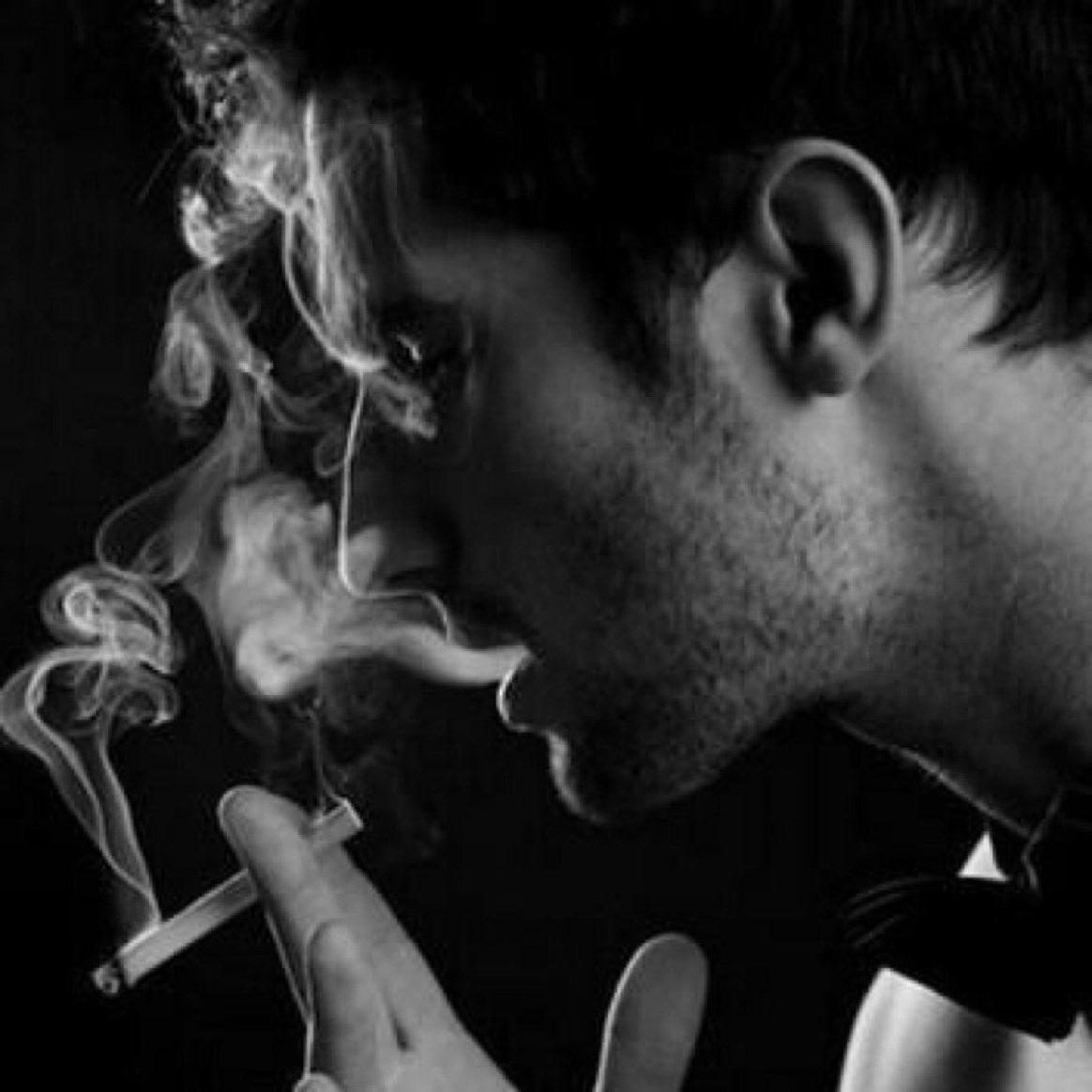 فهد اليامي tweet media