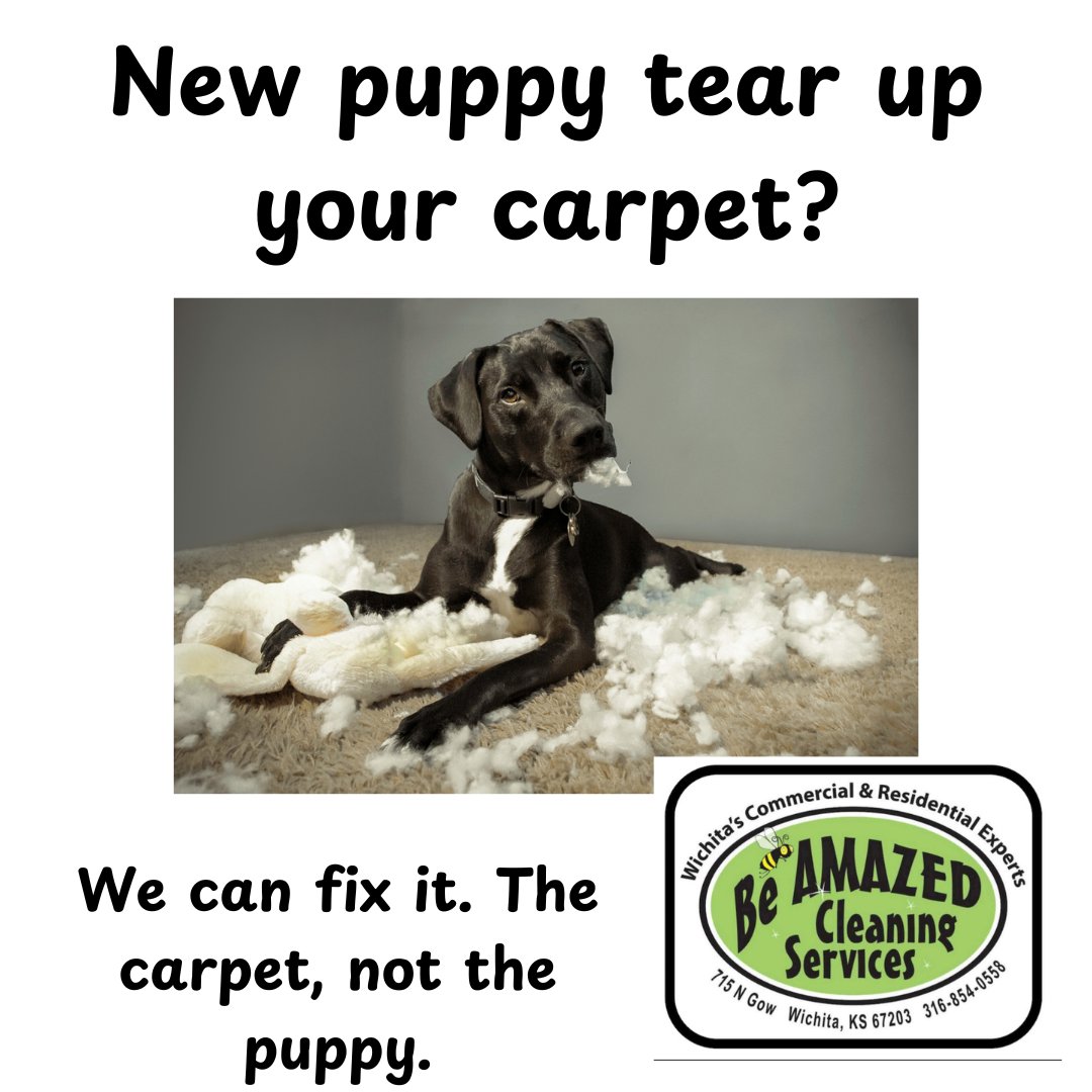 beamazedclean's tweet image. Don't worry.  Let us repair your carpet.

#wichita #housecleaning #janitorial #clean #carpet #upholstery #airduct #arearug #dryervent #carpetstretch #carpetrepair #vinylfloor #office #apartment #couch #chairs