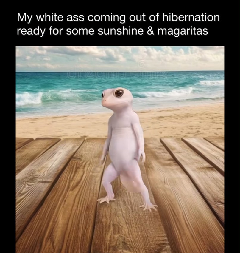 Pierce Brochetti tweet media