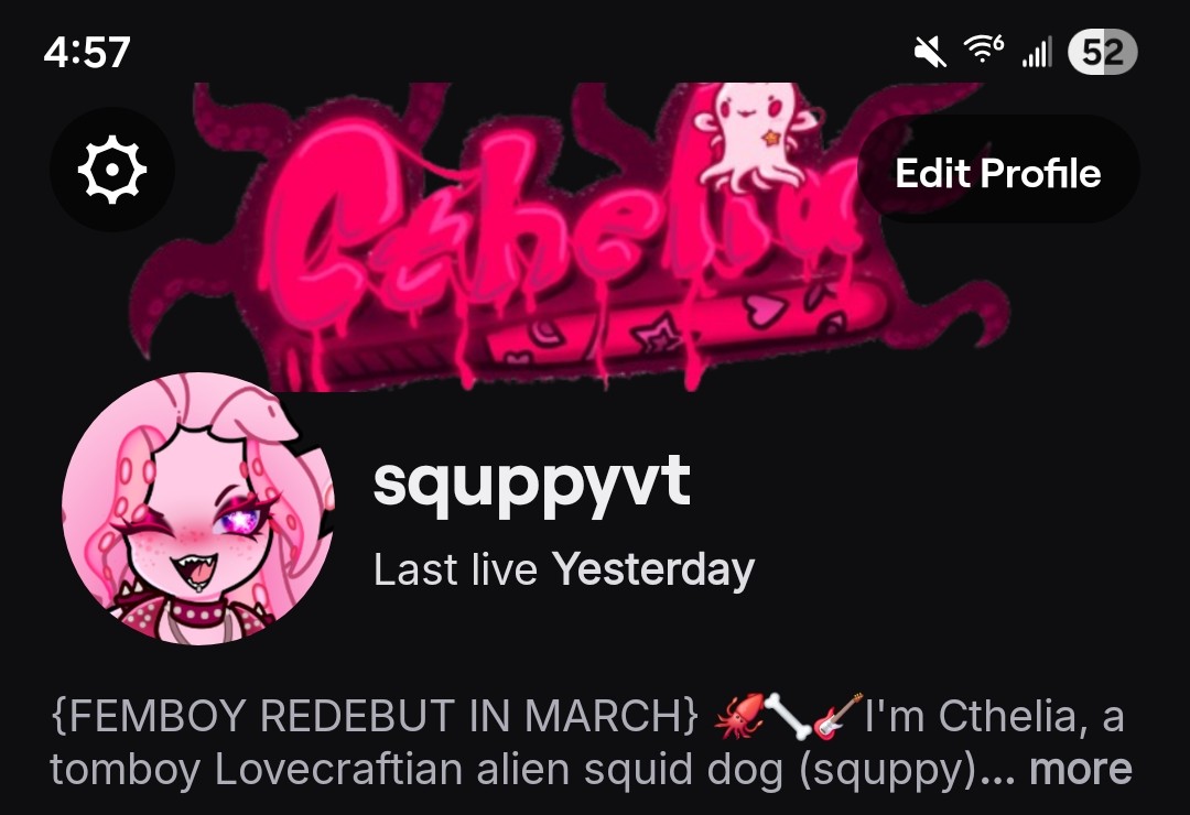 Cthelia 🦑🦴🎸 {FEMBOY REDEBUT SOON!} tweet media