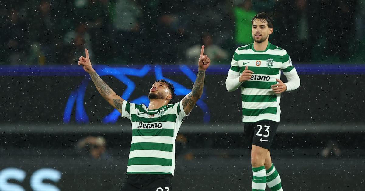 Carlo Pizzigoni tweet media