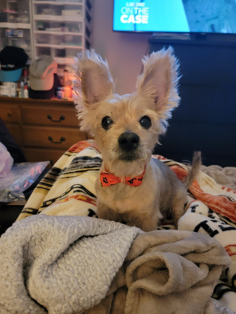 House with a Heart tweet media