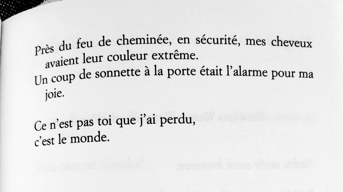 Anthelme.L tweet media