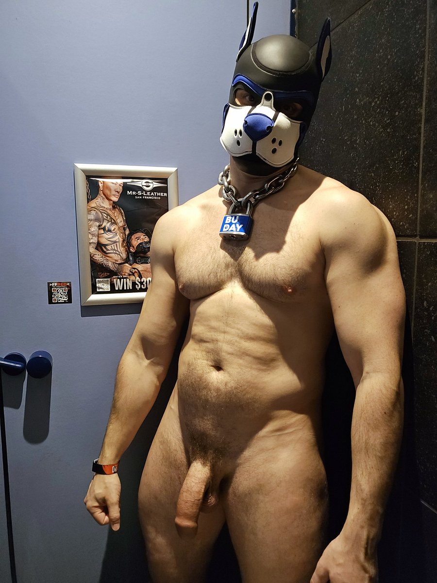 Pup Buday tweet media