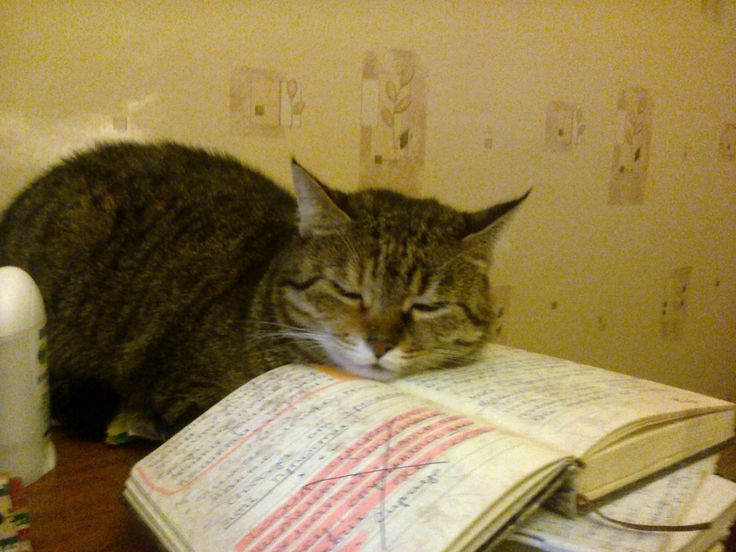 hîv. (@sorrrowfull) on Twitter photo 