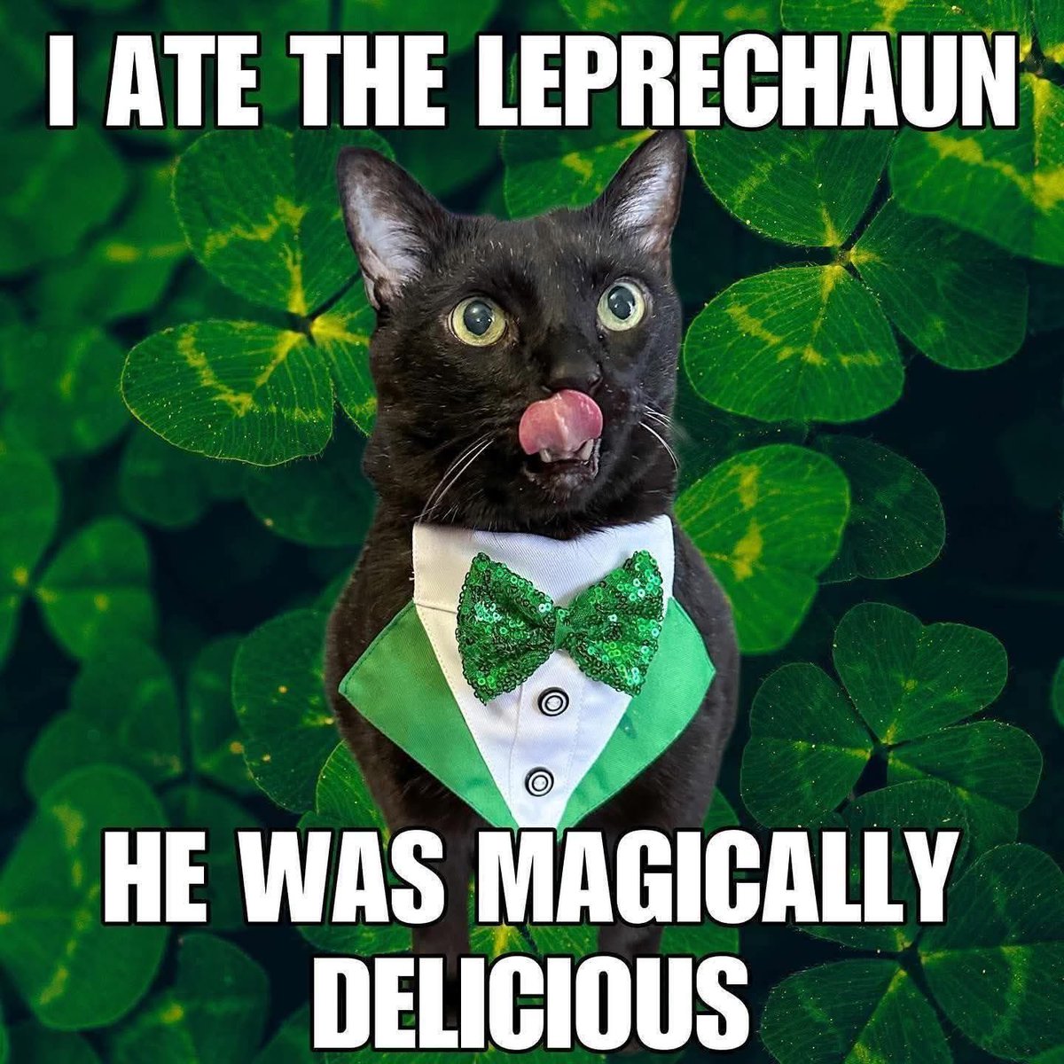 Gaming With Jael tweet media