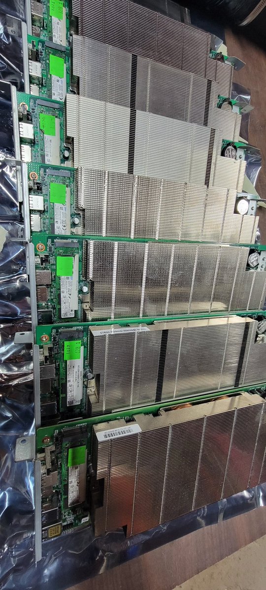 Bignoodle tweet media