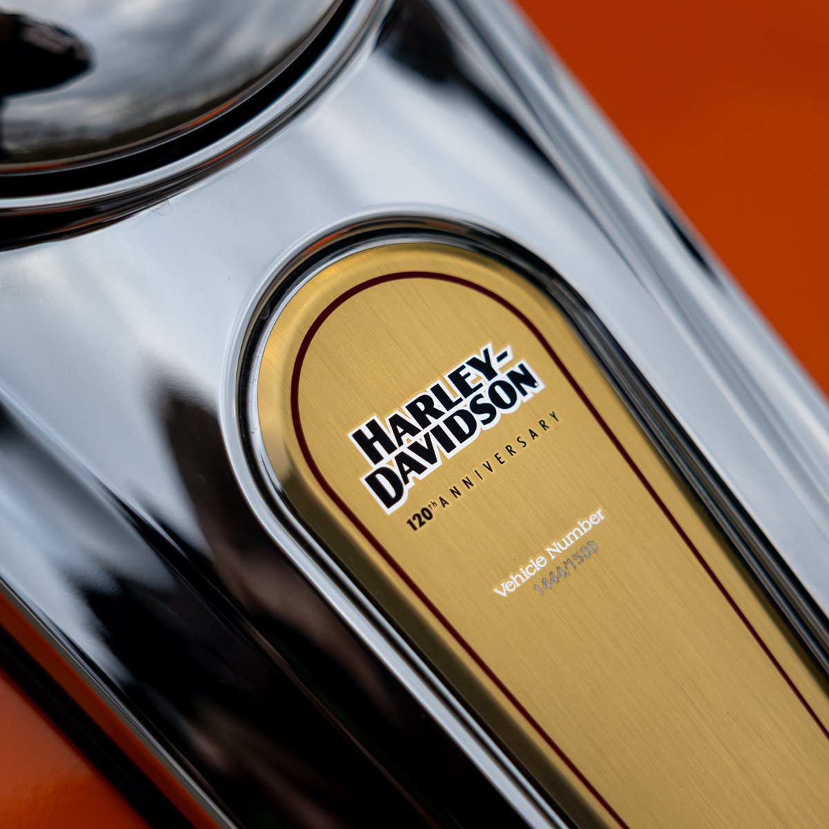 FreedomForgeGarage tweet media