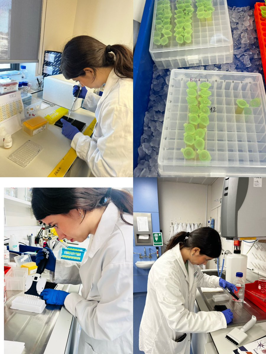 Adele Costabile tweet media