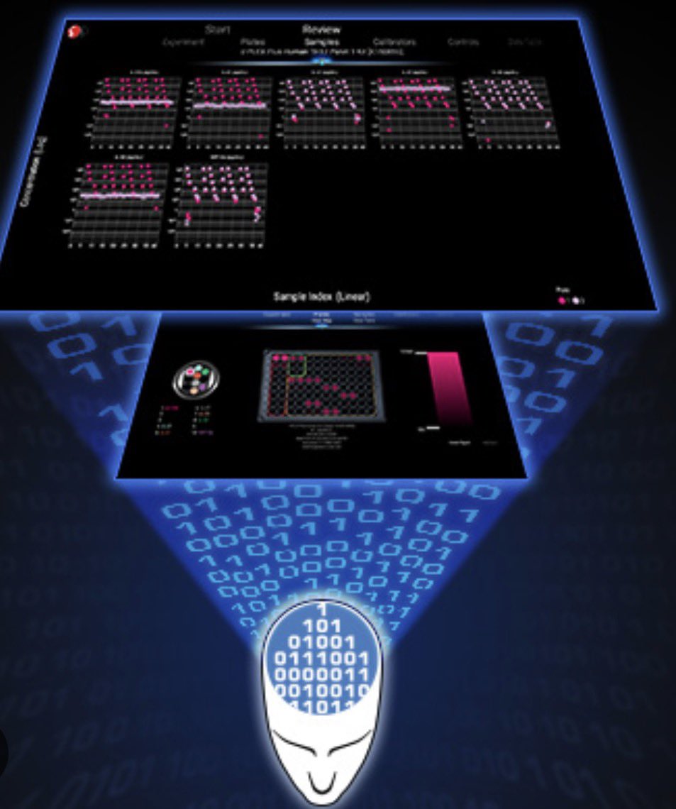 Adele Costabile tweet media