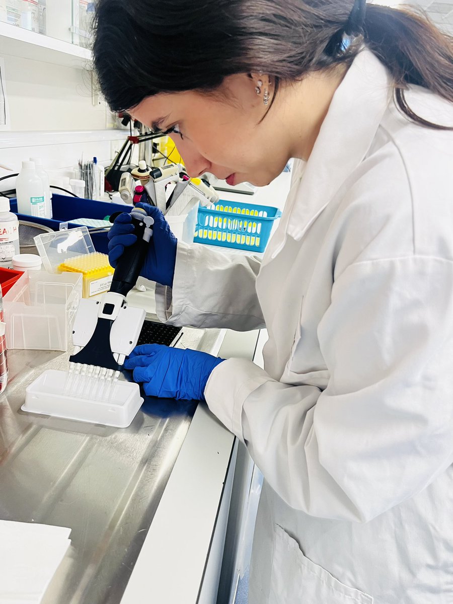 Adele Costabile tweet media