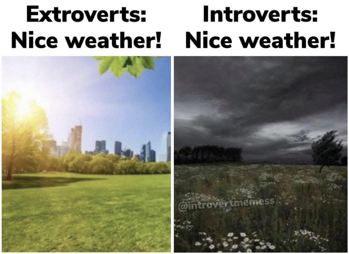 All About Introverts tweet media