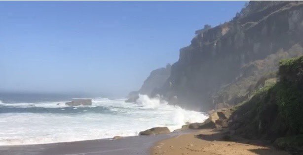 Alfonso Paredes tweet media