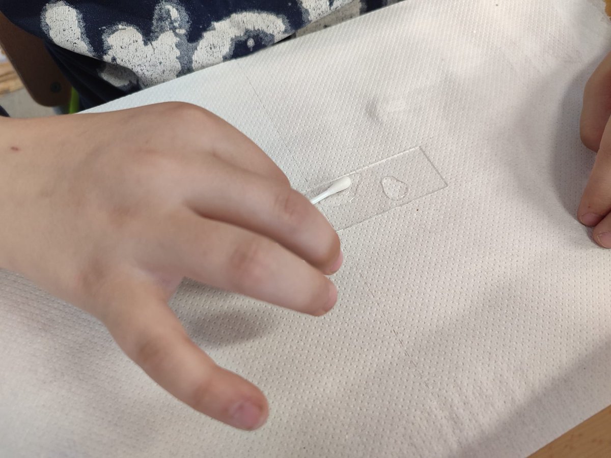 CdA Valls d'Àneu tweet media